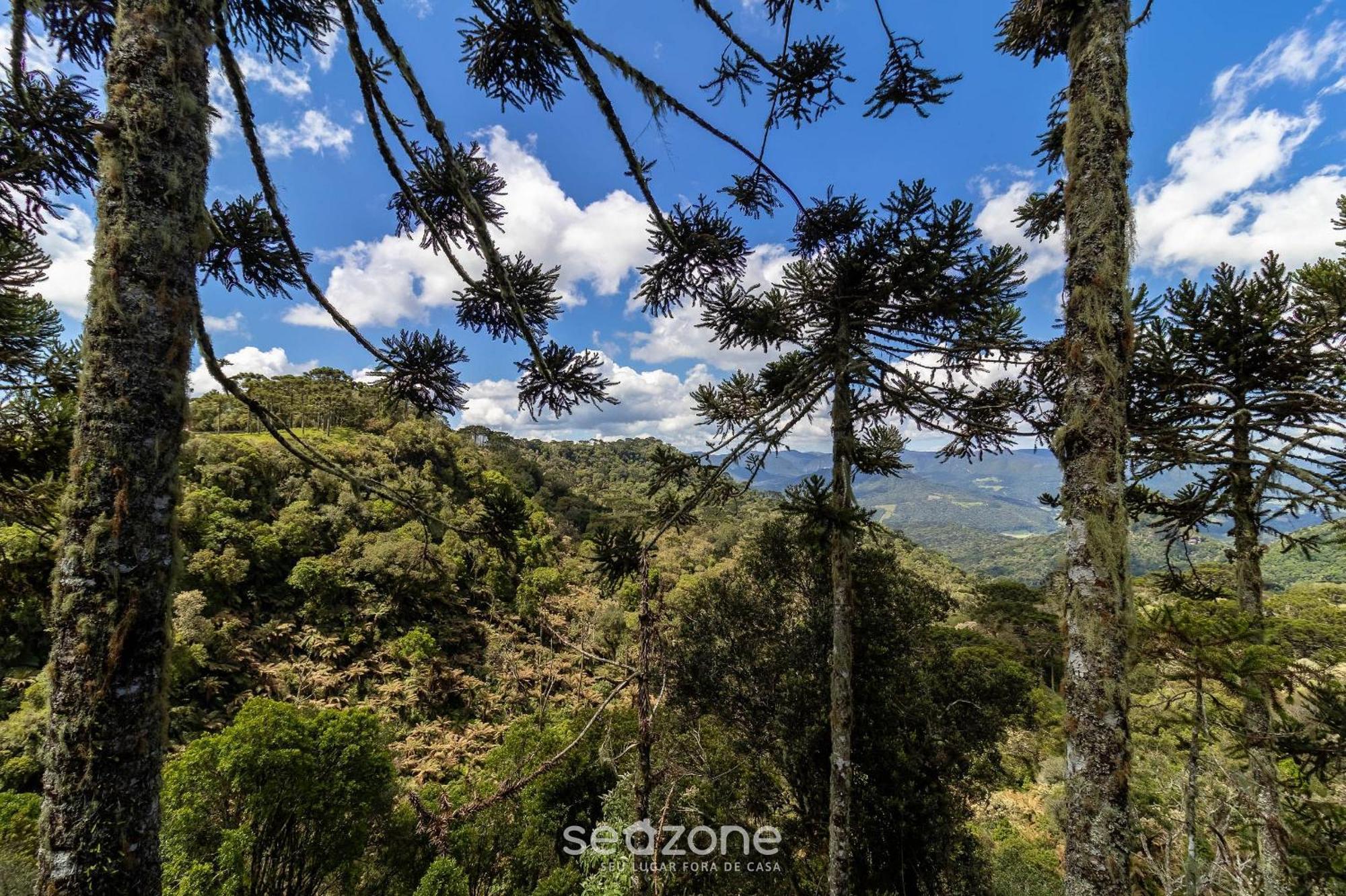Chales Encantadores Em Urubici/Sc - Par Номер фото